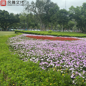 亀头责めでしません的读音
